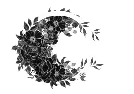 Midnight illustrations