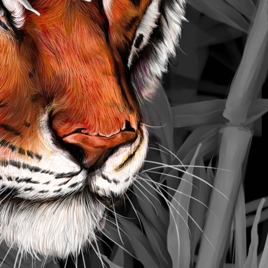 Beautiful exotic detailed Bengal Tiger illustration hand digitally drawn art print wall art. Pop of single colour or green leaves art decor.