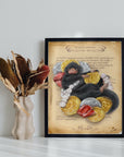 Niffler | Fantastic Beasts | beautiful digital hand-drawn | art | illustration | Wall art | original | unique | geeky | magic | home decor