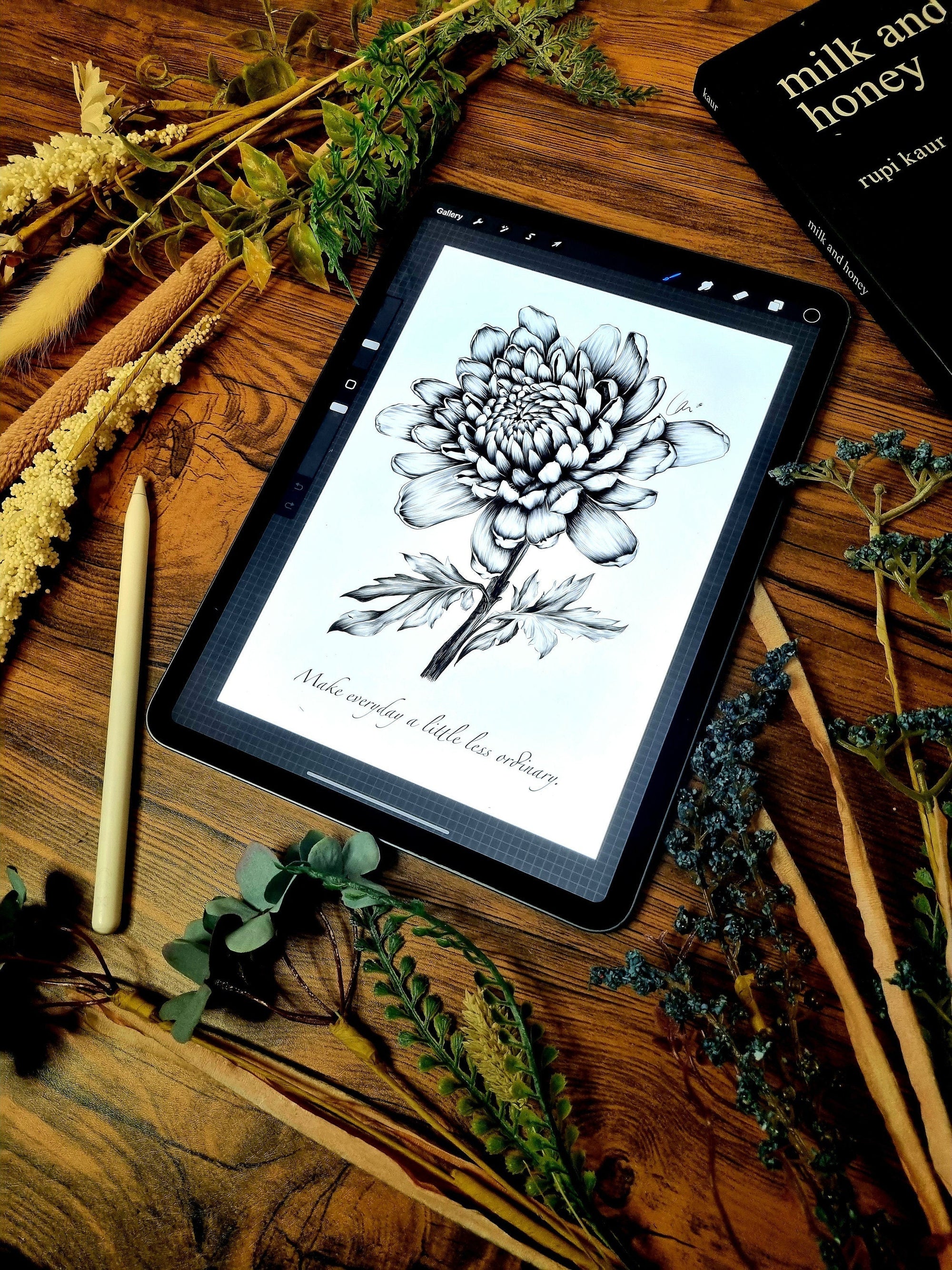 Chrysanthemum | floral | Dramatic | flower | art print | illustration | Wall art | gothic art | original | quote | dark art | home decor