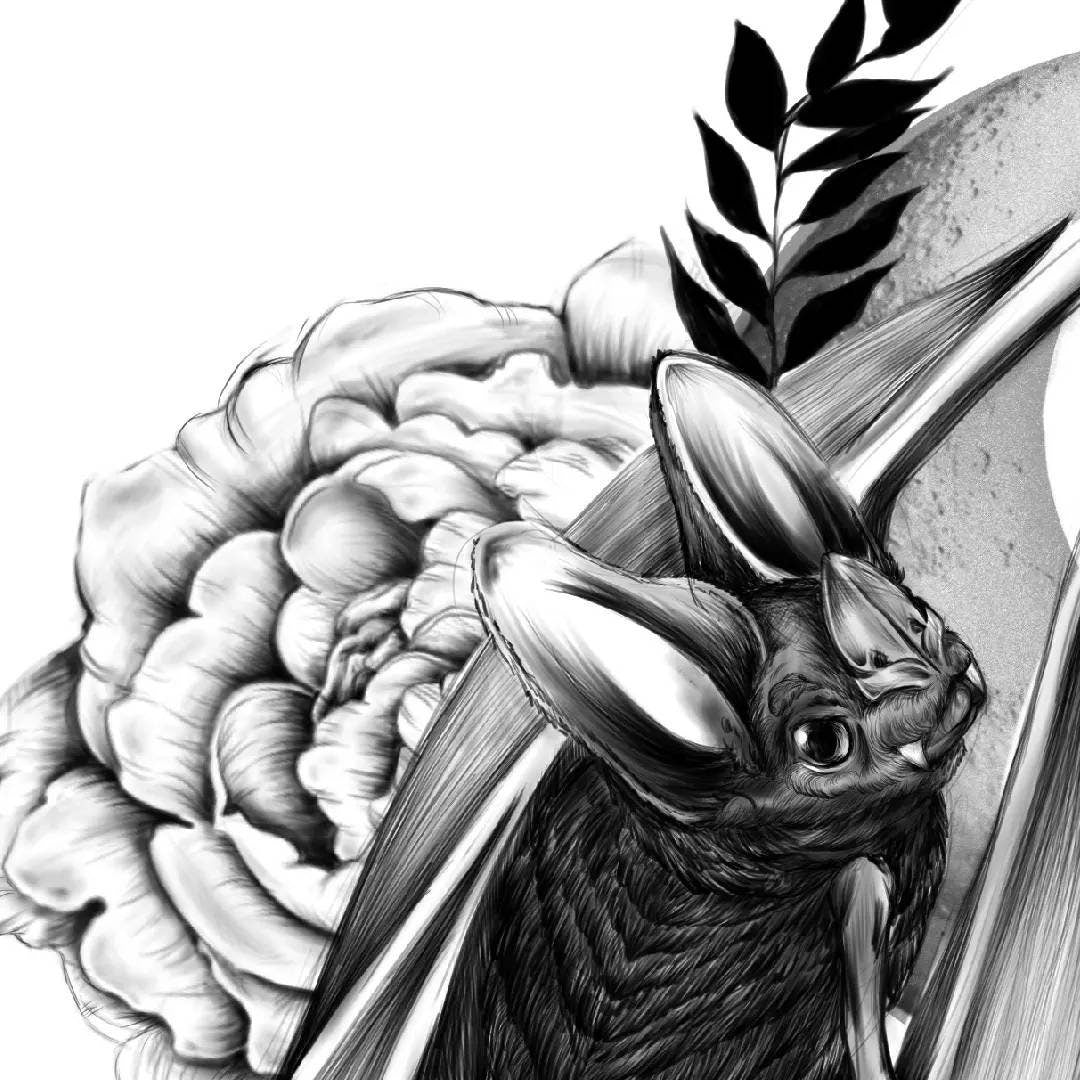 Bat Halloween horror spooky fall tattoo black and white art illustration gallery print