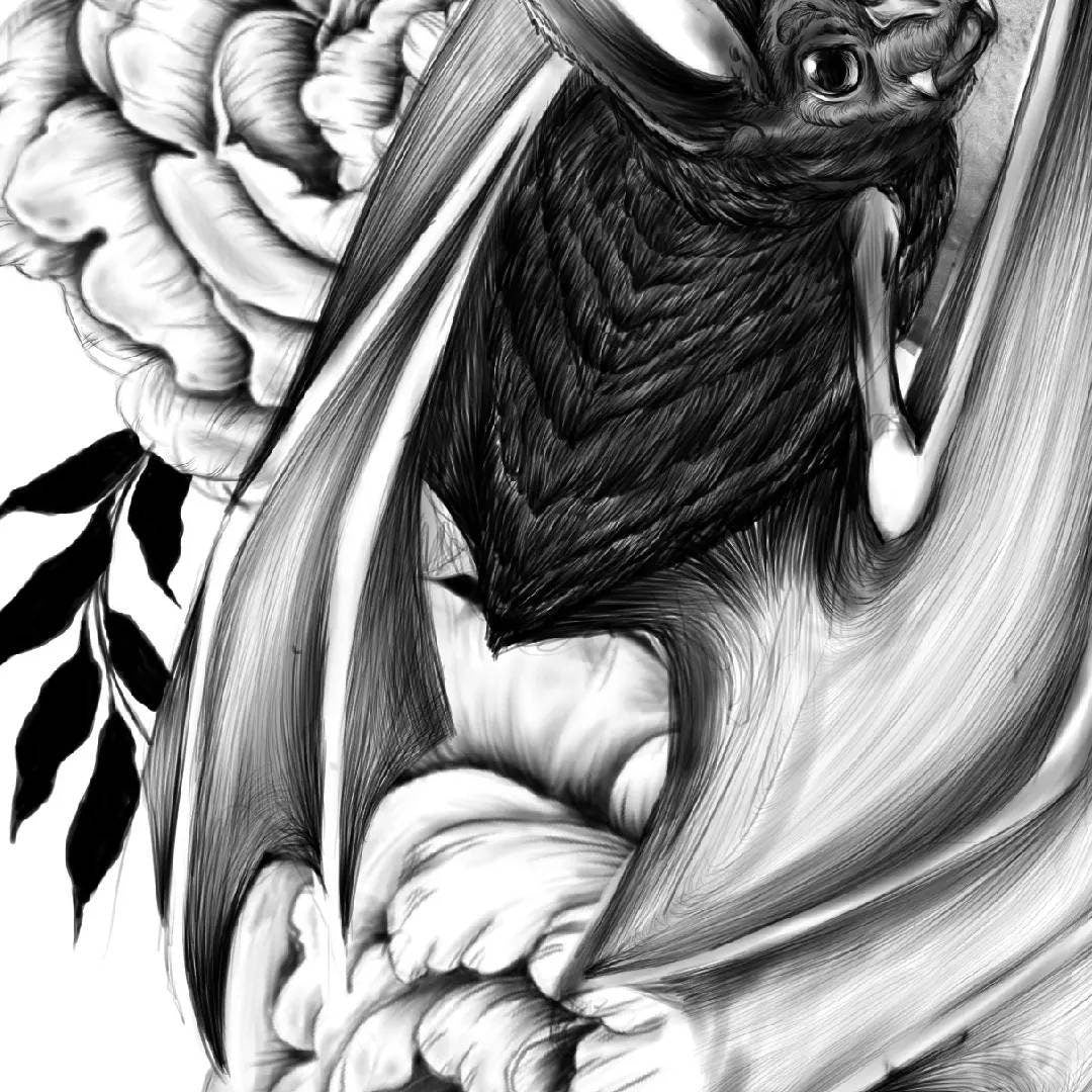 Bat Halloween horror spooky fall tattoo black and white art illustration gallery print