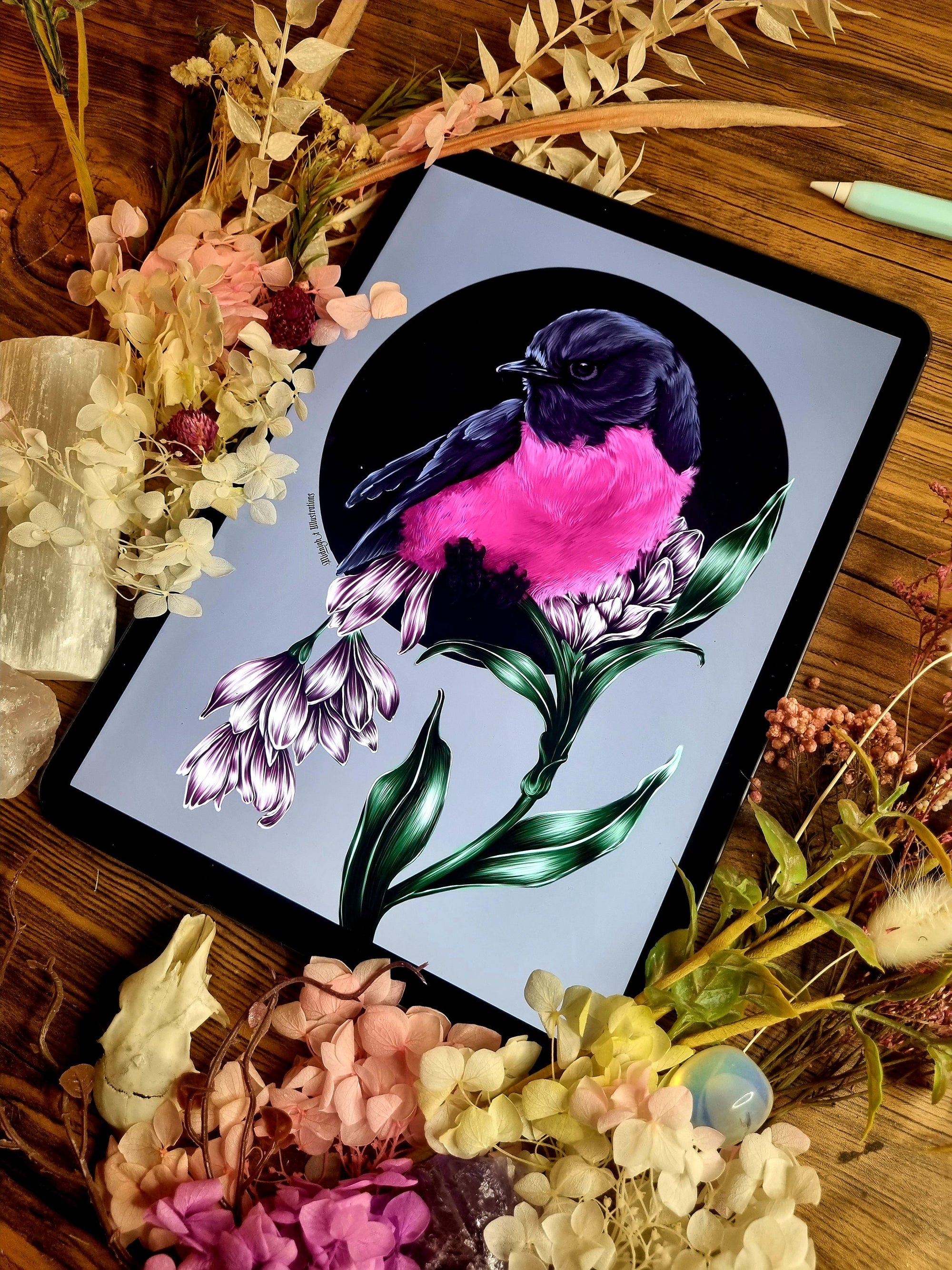 beautiful modern digital painting colour popping pink robin bird illustration nature wall art perfect for home decor.