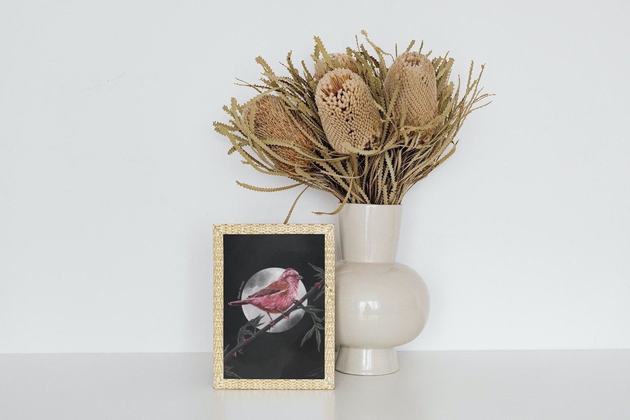 dramatic stunning digital painting colour popping purple finch bird illustration nature wall art perfect for home decor.