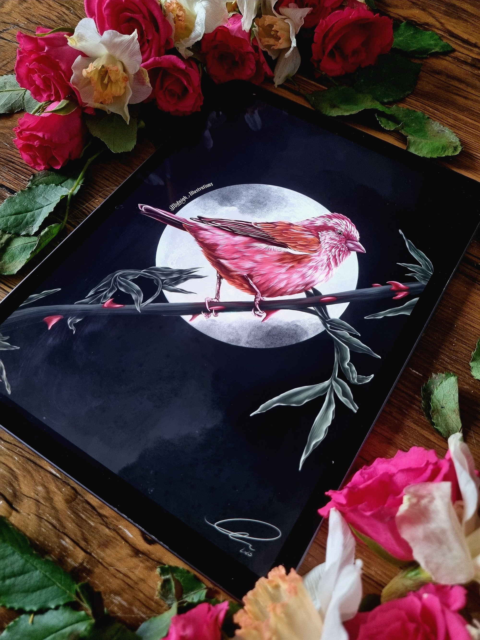 dramatic stunning digital painting colour popping purple finch bird illustration nature wall art perfect for home decor.