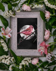 dramatic stunning digital painting colour popping purple finch bird illustration nature wall art perfect for home decor.
