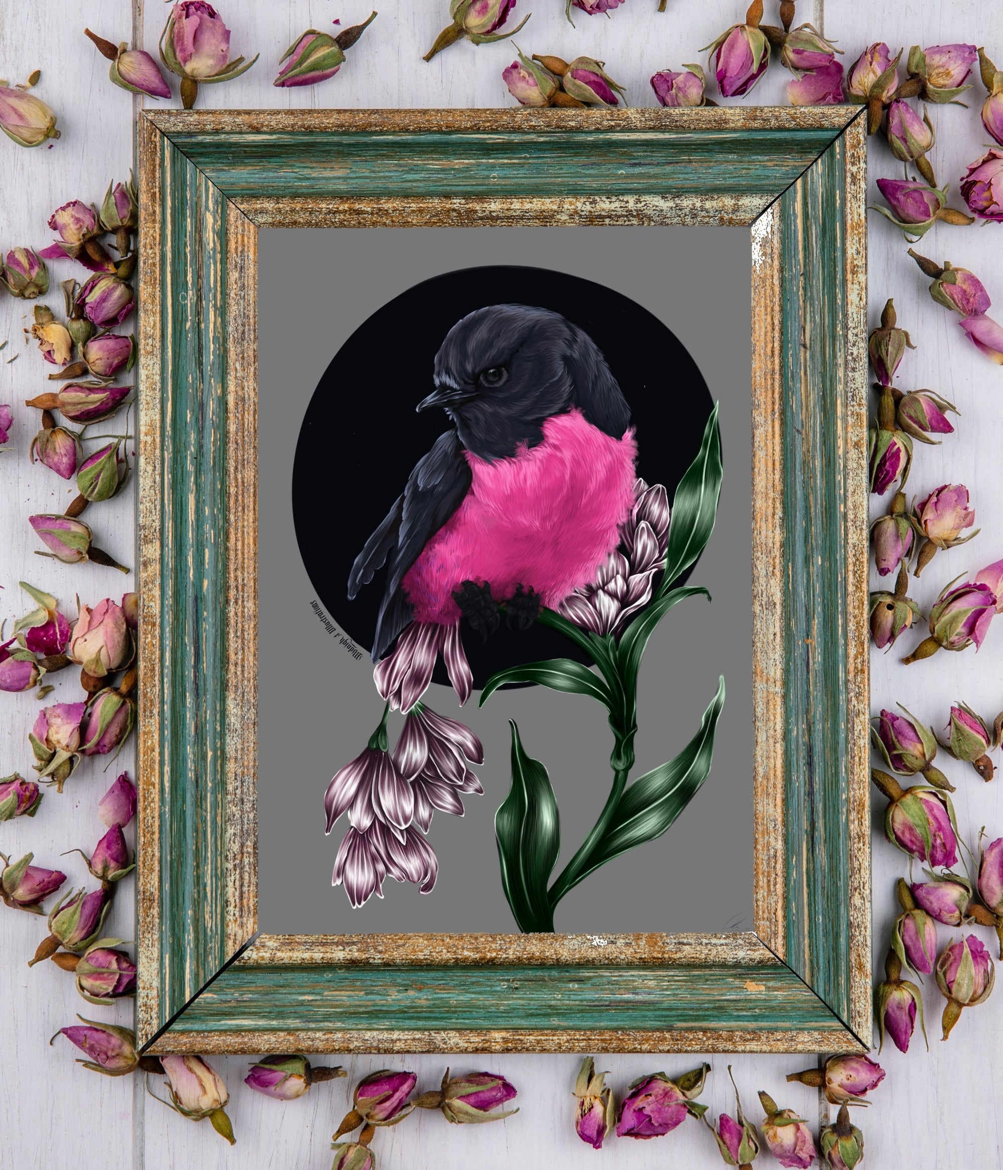 beautiful modern digital painting colour popping pink robin bird illustration nature wall art perfect for home decor.