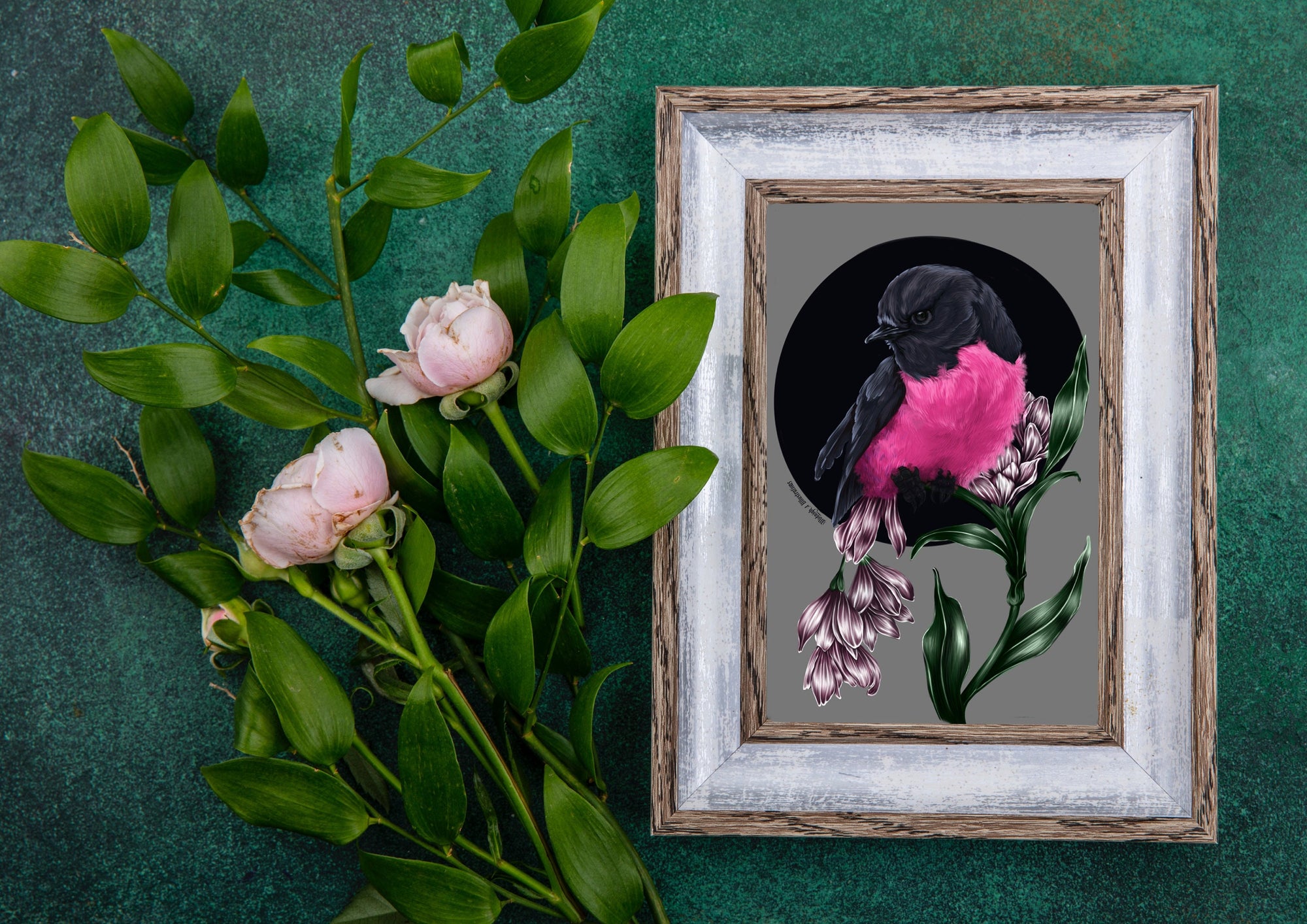 beautiful modern digital painting colour popping pink robin bird illustration nature wall art perfect for home decor.