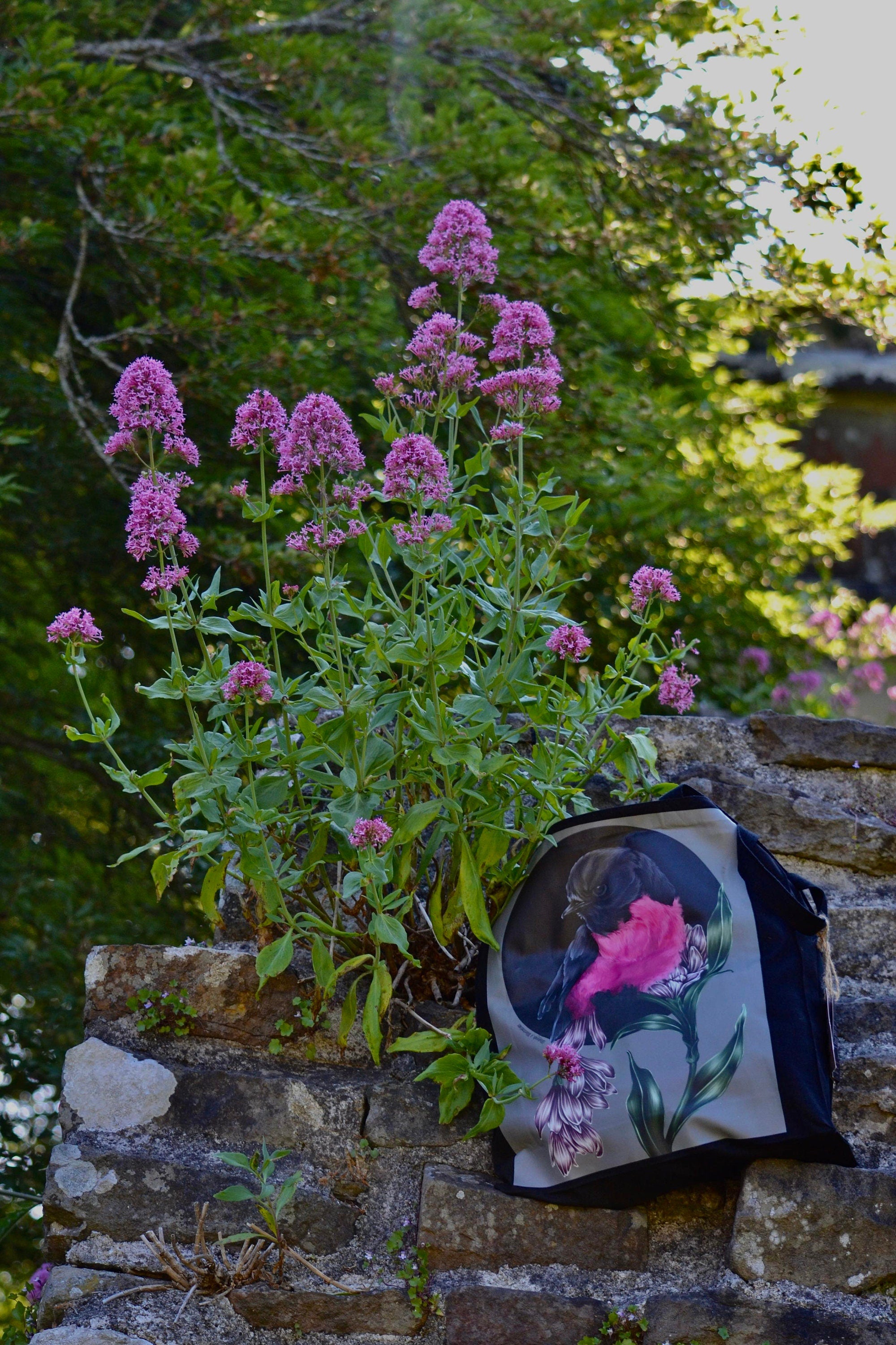Handpressed unique pink robin art drawing illustration pink bird nature 100% organic fairtrade fairycore 10oz flat base totebag fashion bag