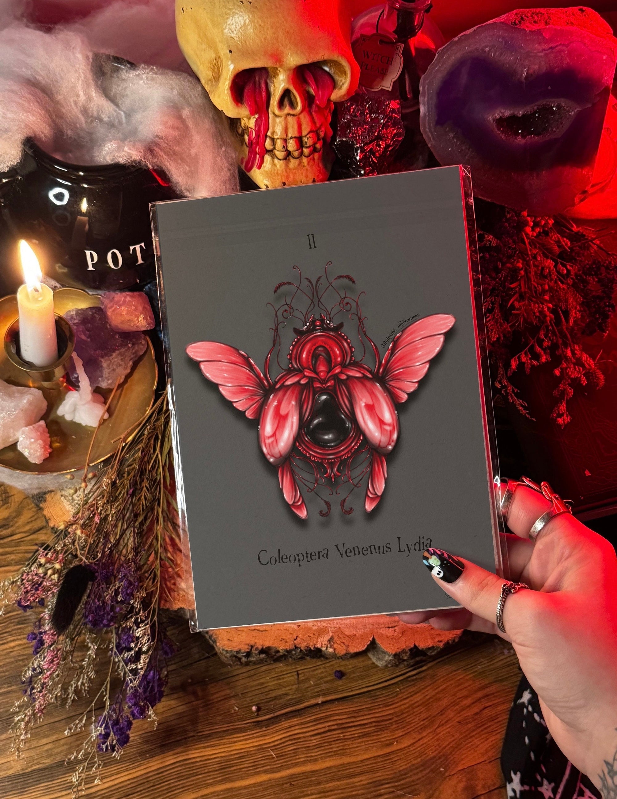 Beetle juice | bug | beetlejuice | art print | insect illustration | gothic wall art | art | original | dark art | Halloween | beetle art