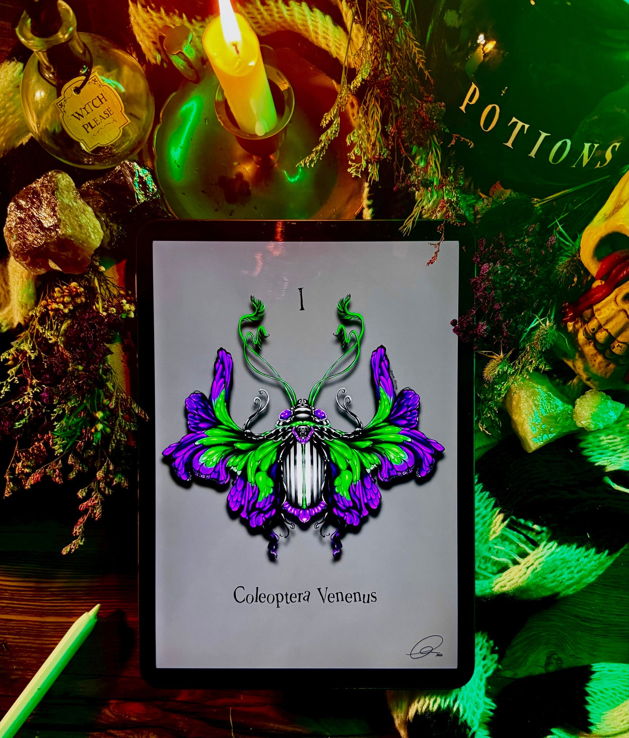 Beetle juice | bug | beetlejuice | art print | insect illustration | gothic wall art | art | original | dark art | Halloween | beetle art